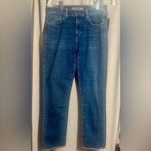Size 28 NWT Joe Jeans